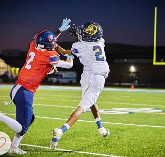 Donmere Bibbes