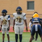 Samari Wilkins